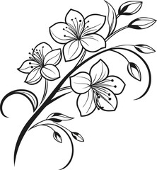 Elegant minimal jasmine flower line drawing illustration