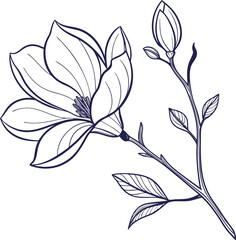 Minimalist magnolia flower line drawing delicate botanical illustration © Mofajjol