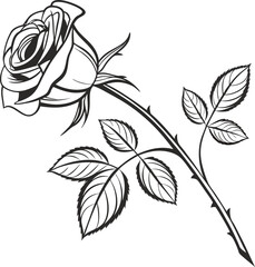 Elegant single rose flower line art minimalist botanical illustration