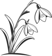 Delicate minimal black snowdrop flower line art illustration