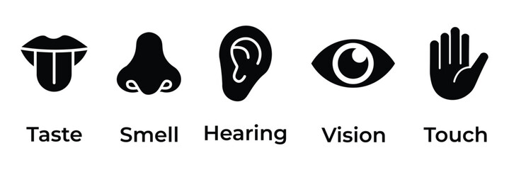 Human senses icon set. Vision eye, smell nose, hearing ear, touch hand, taste mouth with tongue. Simple line icons and black circle. Five senses of human nervous system. Vector illustration.