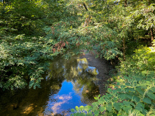 Hardtgraben Bach zwischen Baden-Baden Sandweier und Iffezheim
