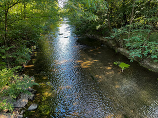 Hardtgraben Bach zwischen Baden-Baden Sandweier und Iffezheim