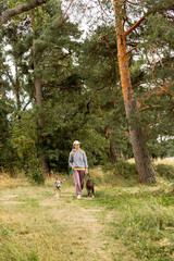 person walks two dogs on a path in a forest or park. canine are on leashes, and the woman is wearing hat. Pet training with handler, professional dog walker, dog sitter. animals in nature.