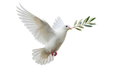 Obraz premium Dove of Peace Vector White Bird Olive Branch in Flight Symbol of Hope Serenity and New on transparent background