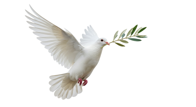 Dove of Peace Vector White Bird Olive Branch in Flight Symbol of Hope Serenity and New on transparent background
