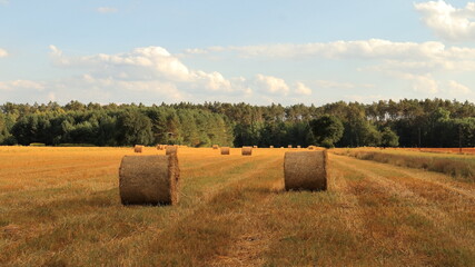 bales of hay