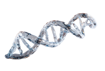 3D DNA strand, watery, transparent