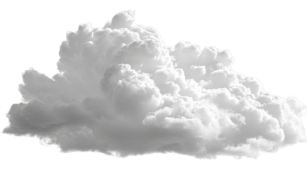 A large, fluffy cumulus cloud in grayscale (1)