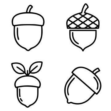 Four acorn icons in black outline style. Each icon has a distinct design variation: one with a plain cap