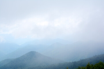 A mystical view of  green mountains partially concealed by thick, swirling fog, where glimpses of lush slopes emerge like islands in a sea of mist.