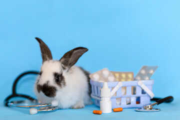 veterinary concept, animal shop. little rabbit with stethoscope, medicines for treating diseases in pets. bunny on blue background with pills. copy space, place for text