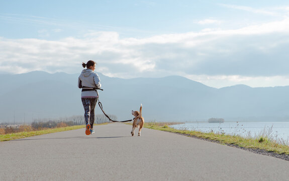 Canicross exercise female running with beagle dog smiling happy companion autumn or spring outdoor fitness activity healthy lifestyle sport training jogging workout pet ownership leisure concept image