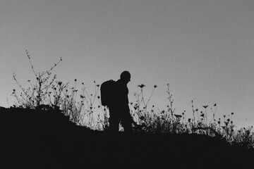Silhouette of a lone hiker with a backpack standing on a hill at twilight, surrounded by wild grasses against a deep blue evening sky.