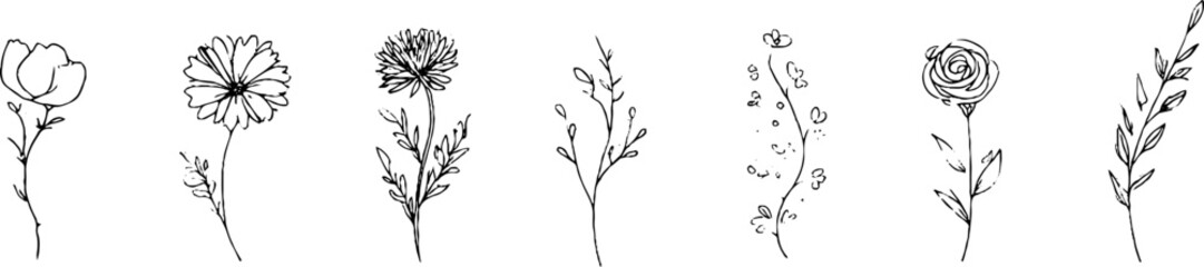 Minimalist floral line art set with geometric borders for aesthetic design