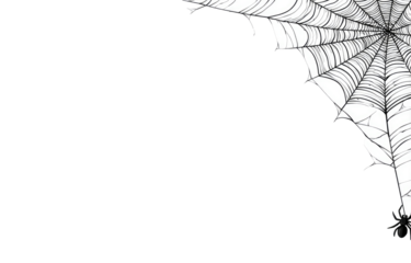 A detailed, stylized spiderweb in white, against a black background.  The web is intricate and extends from a corner, with a spider in the lower right corner