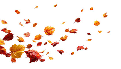 Falling autumn leaves against black background