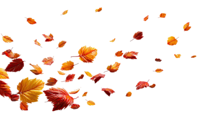 Falling autumn leaves against black background