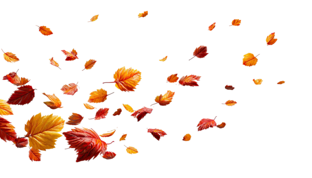 Falling autumn leaves against black background