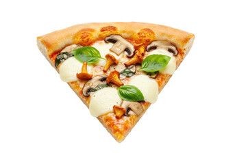 Isolated slice of pizza with mozzarella, chanterelles, mushrooms, basil is appetizing