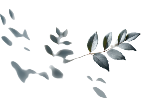 Close-up of a delicate branch with leaves,  outlined against a dark background.  Silhouetted leaves and branch are light gray, with a few light,  scattered, amorphous shapes around it
