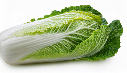 Fresh Napa Cabbage Vegetable Isolated On Transparent Background