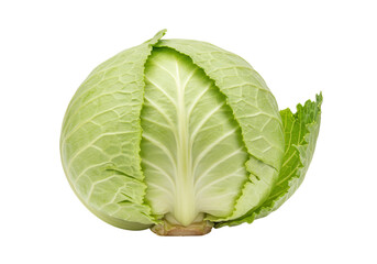 Fototapeta premium Isolated fresh green cabbage on view, raw brassica, vegetable ingredient, vegan diet