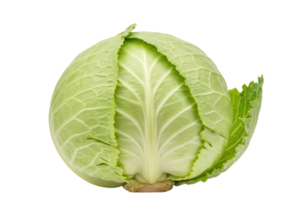 Isolated fresh green cabbage on view, raw brassica, vegetable ingredient, vegan diet
