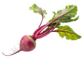 Fresh Organic Beetroot with Green Leaves Isolated on Transparent Background