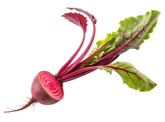 Freshly Harvested Beet with Green Leaves Isolated on Transparent Background