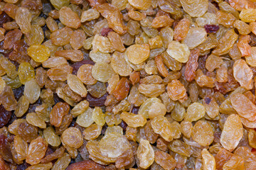 Golden raisins spread out on a surface displaying their natural color and texture in a kitchen setting