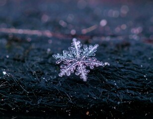 Detailed close-up of a delicate snowflake