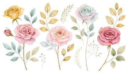 Luxury Watercolor Roses with Gold Accents PNG Set &ndash; Hand-Painted Elegant Flowers Isolated on Transparent Background
