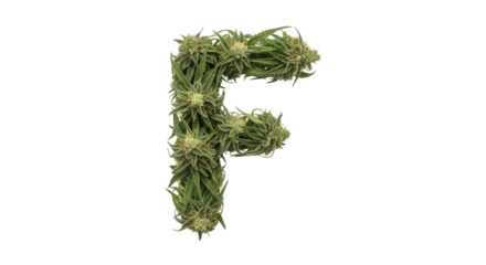 Cannabis letter F made of green marijuana buds on white background.