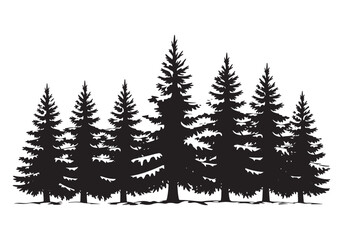 Fototapeta premium Silhouetted evergreen pine trees in a dense forest landscape white background