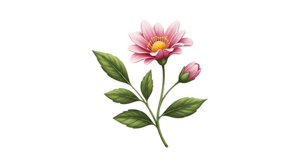 Delicate Pink Flower Watercolor Illustration with Green Leaves.