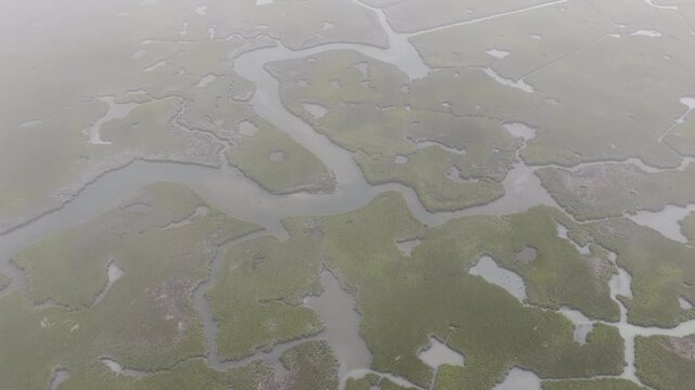 Narrow channels meander through a beautiful salt marsh on Cape Cod, Massachusetts. These natural carbon sinks are sheltered nurseries for wildlife and act as a buffer against storms and waves.