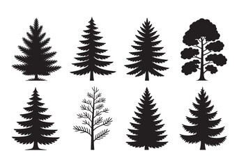 Fototapeta premium Collection of diverse pine and evergreen tree silhouettes set natural forest flora elements white background