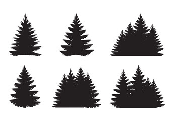 Obraz premium Silhouette collection of evergreen pine trees and forest groups for nature design white background