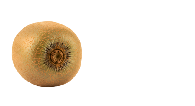 Whole Kiwi Fruit with Fuzzy Skin on a Light Beige Background