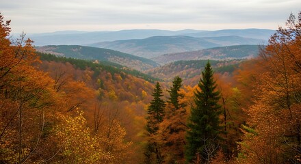 Vibrant Autumn Landscape in Rolling Mountains with Colorful Fall Foliage.