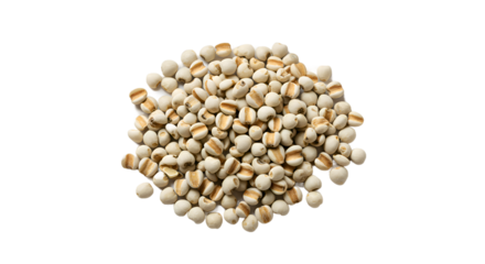 Pile of Raw Jobs Tears Millet Seeds on a Blended Background