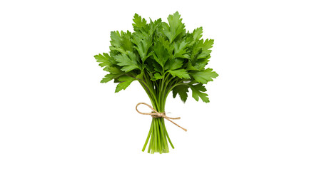 bunch of fresh green onions