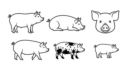 Adorable Pig Illustrations A Collection of Charming Swine in Simple Line Art