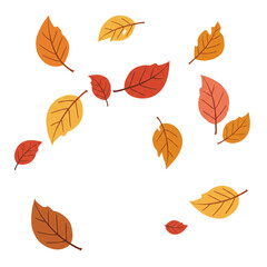 Obraz premium Various colorful autumn leaves are scattered against a dark background, creating a visually appealing composition that evokes the essence of the fall season and its natural beauty.