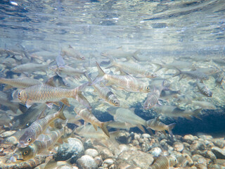 “Khao Khun Phanom Temple – King Taksin the Great Temple, Thailand”