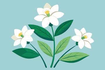 Delicate white blossoms with vibrant green leaves evoke springtime freshness and natural beauty