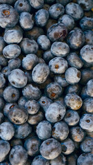 Fresh Blueberries Organic Eco Market