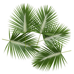 Fototapeta premium Vibrant green palm fronds artfully arranged in a circular pattern evoking tropical paradise and exotic vacation vibes for your summer designs
