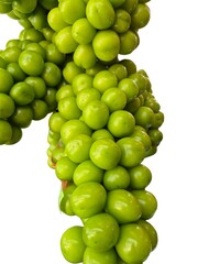 Close-up of Green Grapes

